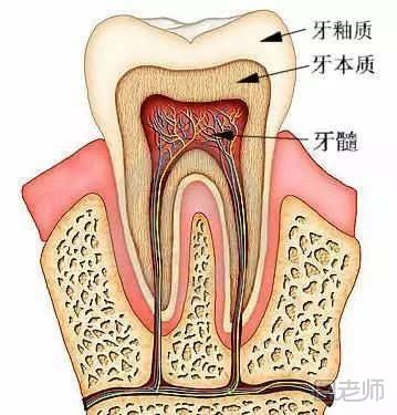 牙釉质是什么 有什么用