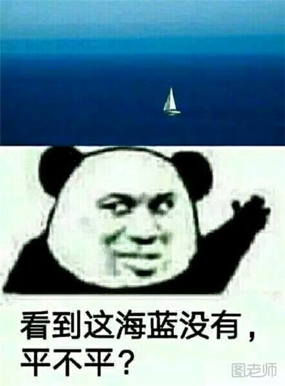 海蓝钢板是什么 海蓝钢板执法是什么梗