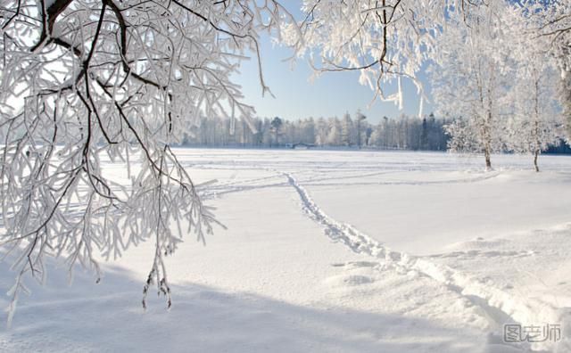 大雪节气吃什么 