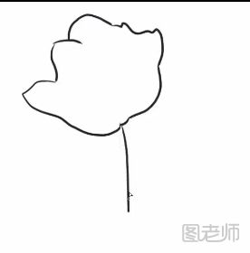 郁金香简笔画怎么画