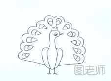 孔雀简笔画教程