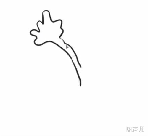 香菜的简笔画教程 怎么画香菜