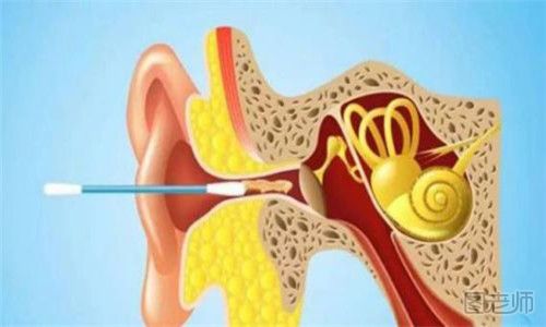 棉签掏耳朵好吗