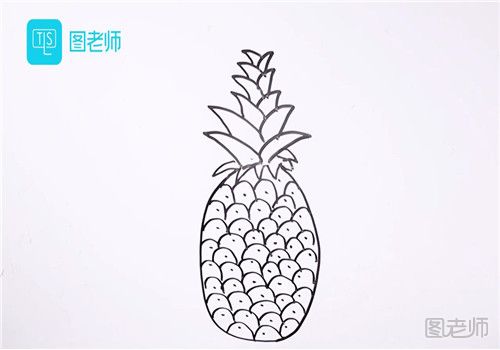 菠萝的简笔画.jpg