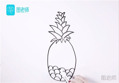 菠萝的简笔画.jpg