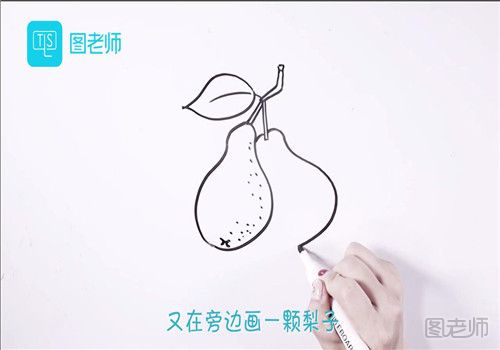 梨子简笔画.jpg