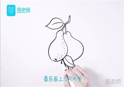 梨子简笔画.jpg