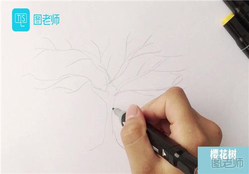 樱花树怎么画好看