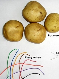 科技小制作 DIY土豆电池