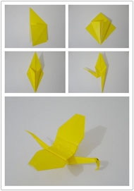 手工折纸图解教程 教你蜻蜓的简单折法