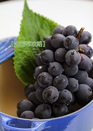 葡萄的正确清洗方法 让您吃的安全放心