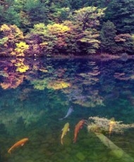 PS照片合成图解教程 森林湖泊金鱼照片合成