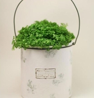 DIY艺术花盆图片教程  铁罐的废物利用