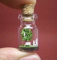 玻璃瓶中的小小世界  创意家居