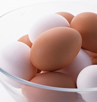 生活小常识  如何判断一个鸡蛋是否新鲜