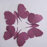 中国艺术 简单蝴蝶剪纸教程步骤图解