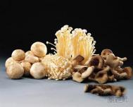 菇类营养功效能降脂抗癌减肥 