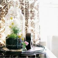 亲手设计一个美丽的玻璃器皿室内盆栽