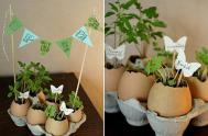 鸡蛋壳diy绿色的小花园 蛋壳小盆栽的制作方法