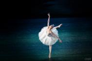 芭蕾舞收腹操基础动作分解教学