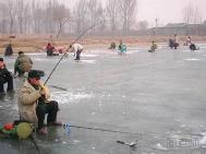 冬季如何在小型水库钓鲤鱼