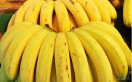 普通香蕉和催熟香蕉怎么区分