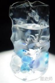 矿泉水瓶废物利用制作创意冰雕
