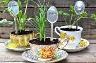 陶瓷茶具+印花勺子 手工制作漂亮植物盆景