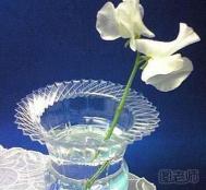 玻璃瓶废物利用制作装饰花瓶