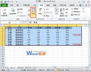 Excel2010设定某些单元格数据不进行排序只排序其余部分