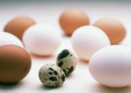 鹌鹑蛋和鸡蛋的营养价值哪个更高