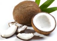 椰子的营养价值 椰子的功效 椰子的作用