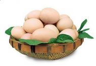禽蛋类的介绍-蛋的基本常识
