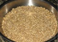 小麦草种植方法 为榨汁做准备吧