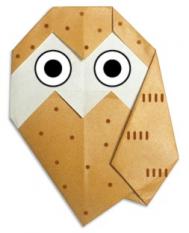猫头鹰的折法 怎样用纸折猫头鹰