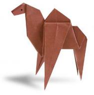骆驼的折法 怎样折骆驼