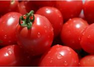 怎么用西红柿美容 西红柿的美容功效