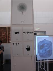 2010毕业展—南京艺术学院视觉传达设计作品二