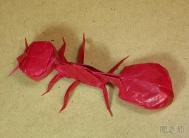 昆虫折纸教程 图解折纸蚂蚁