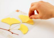 韩国设计师手工创意树叶便签纸