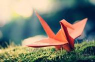 千纸鹤折法 小图详解妙趣折纸鹤的方法