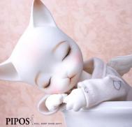 PIPOS萌兔与猫咪的唯美情景摄影
