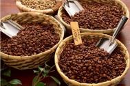 咖啡豆怎么煮 咖啡豆种类知识大科普