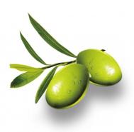 细数护肤橄榄油的用法
