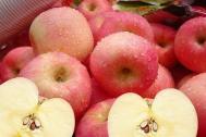 解析怎样吃水果减肥