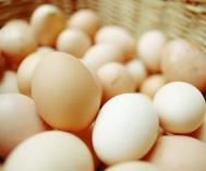 以鸡蛋为主食的减肥食谱