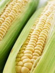 自制玉米减肥餐的自作方法