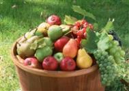 夏季养生：夏季保健防上火桃子少吃可预防