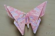 逼真动物折纸教程 纸蝴蝶的折法图解