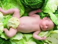 宝宝不爱吃蔬菜怎么办?